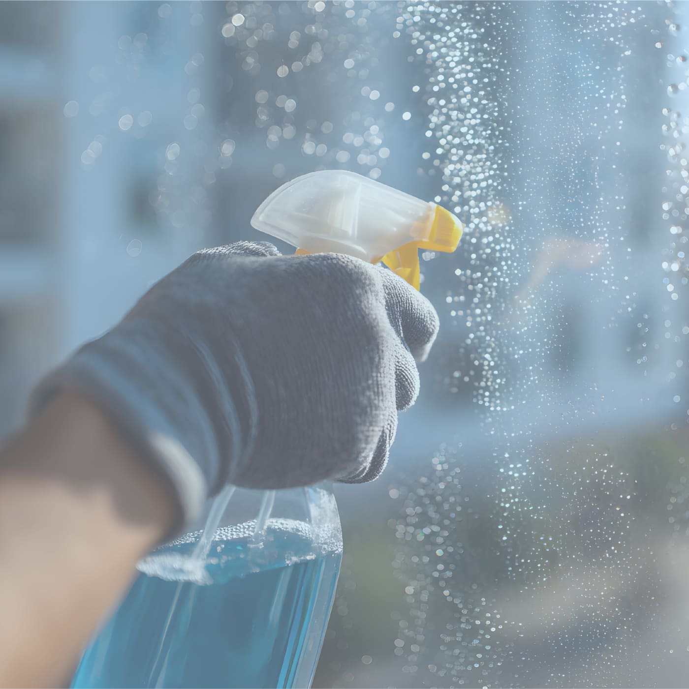 洗剤の製造・販売